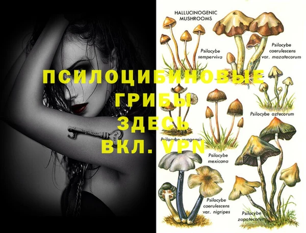 PSILOCYBIN Нягань