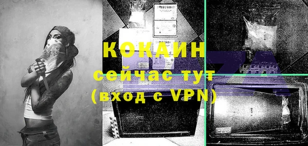 mdpv Няндома