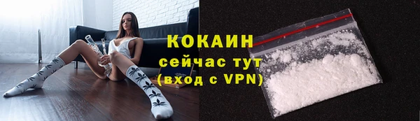 mdpv Няндома