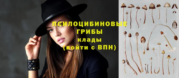 мет Новозыбков