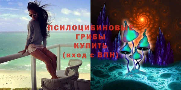 PSILOCYBIN Нягань