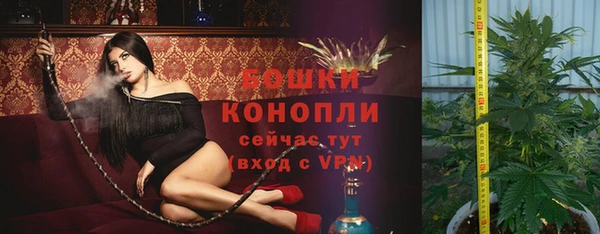 PSILOCYBIN Нягань